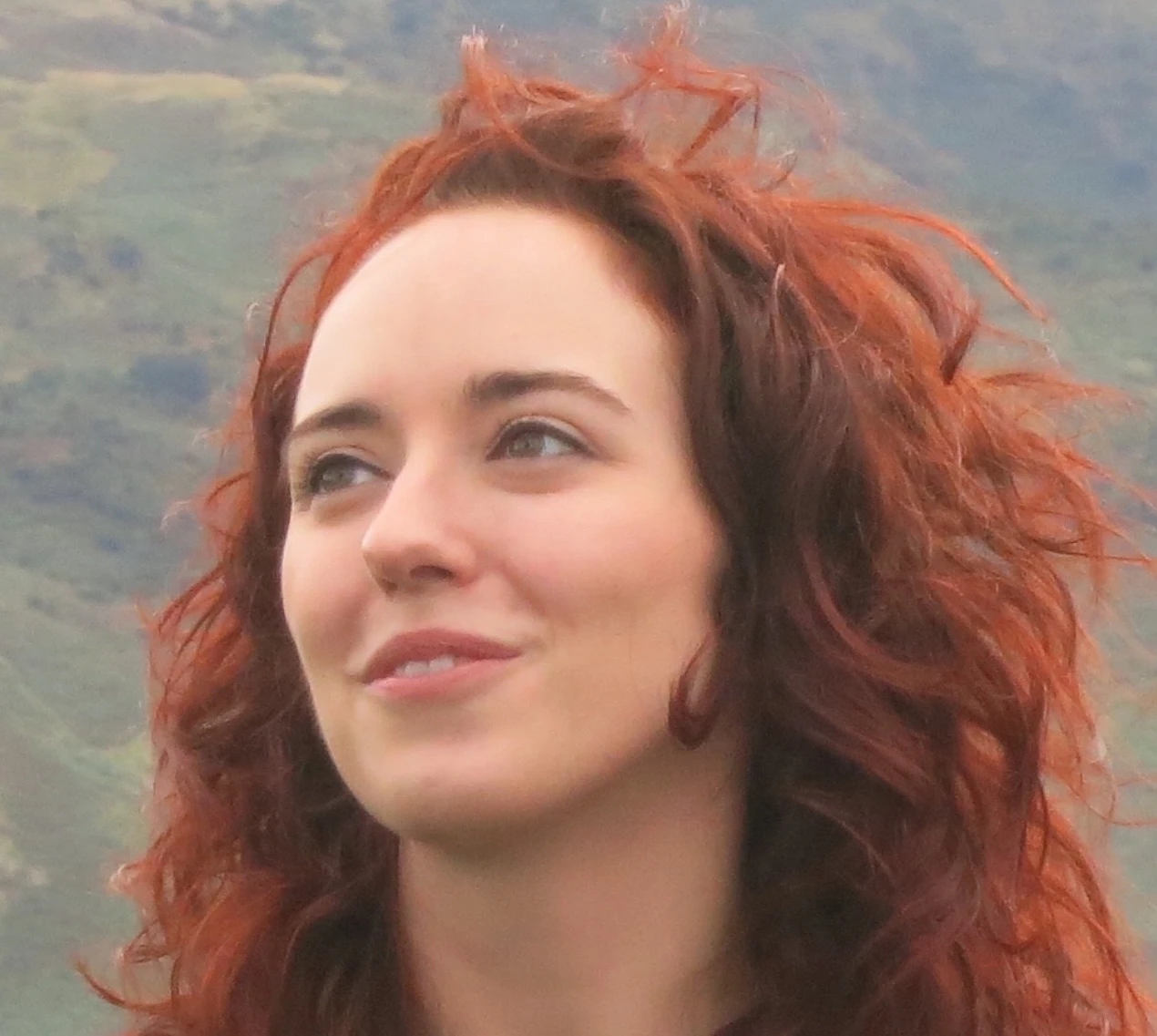 Investigating the Functional Anatomy of Motion Processing Pathways in the Human Brain logo