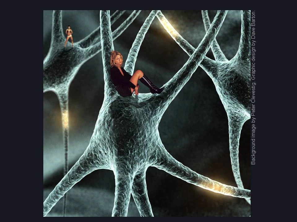 Grandmother cells in the human brain? logo