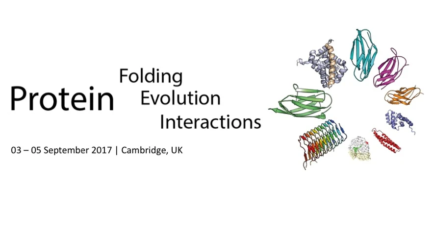 Protein Folding, Evolution and Interactions Symposium logo
