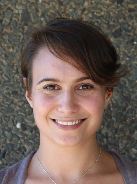 Electron doping of samarium nickelate from first principles logo