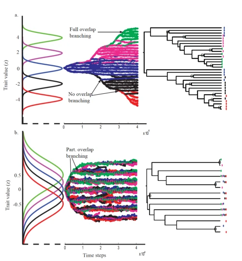 Adaptive radiations and species(?) diversity logo