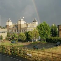 Quantum Matter Seminar logo