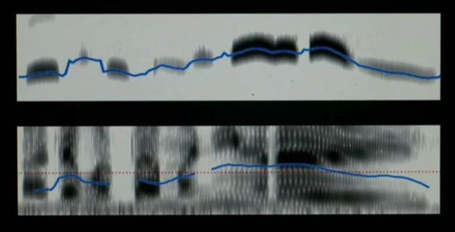 Whistled Speech and Language Discrimination logo