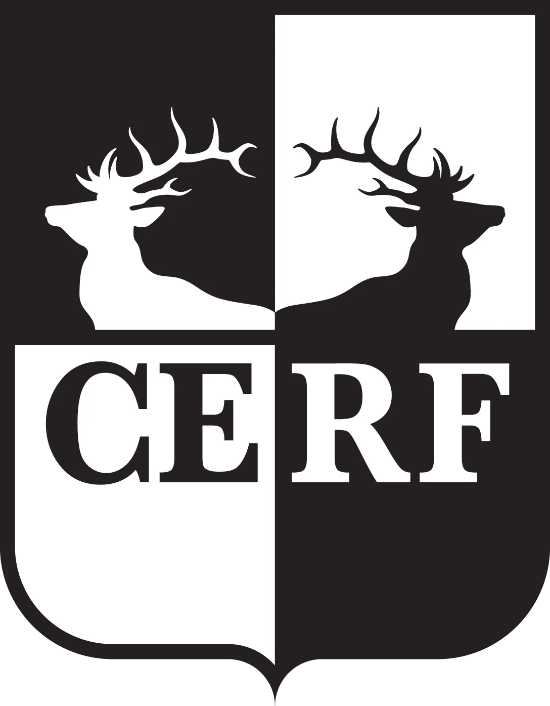 Cambridge - Corporate Finance Theory Symposium September 2018 - Day 2 logo