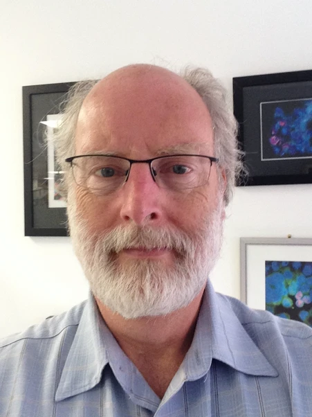 "Chronic Inflammatory Diseases and Tryptophan Catabolism"  logo