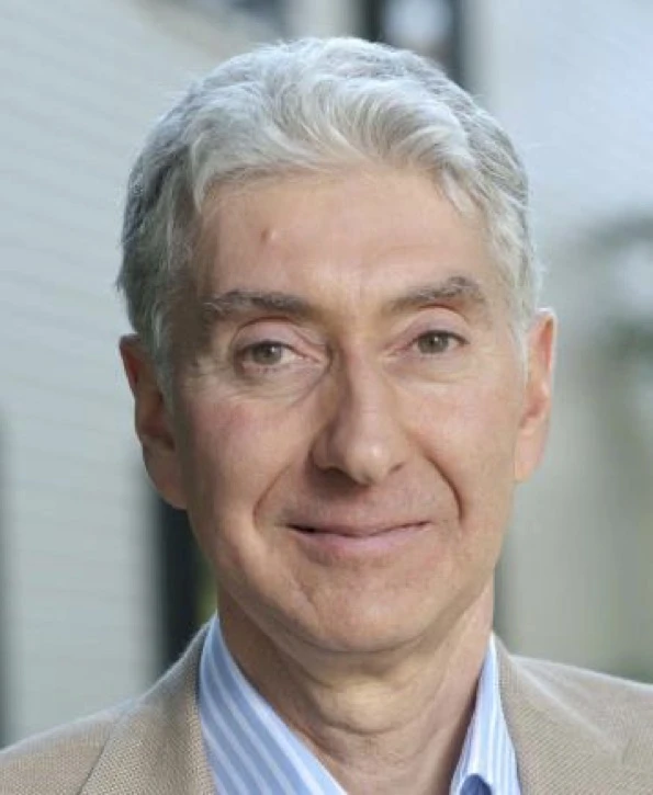 Synthetic Cellularity via Protocell Design of Soft Matter Interfaces logo