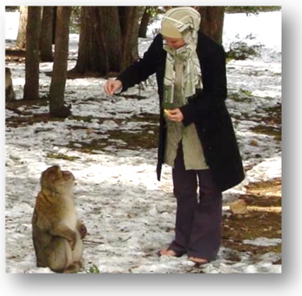 Primate tourism: opportunities and challenges logo