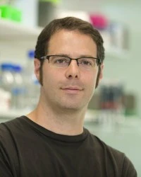 Optical control of T-cell signalling dynamics logo