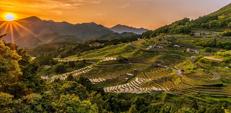 Venture Creation Weekend: Innovation in Food Security logo