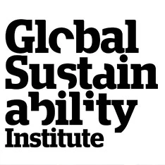 GSI Seminar - Using stories in energy research: Snapshots of three approaches logo