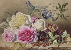 From plant to painting - the journey of making a botanical painting  logo