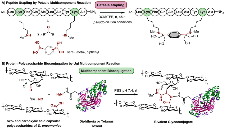 Multicomponent Reactions in Peptide and Protein Chemistry   logo