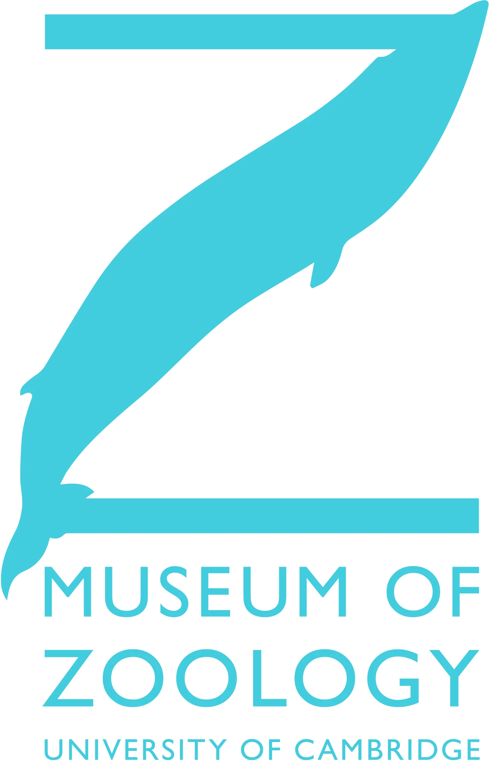 Discovery Talks at the Museum of Zoology logo