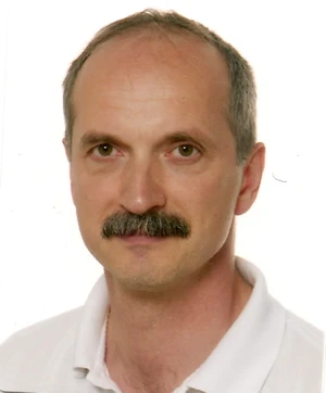 Polymer/clay nanocomposites: The catalytic effect of clay logo