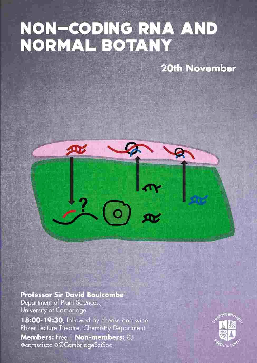 Non coding RNA and normal botany logo