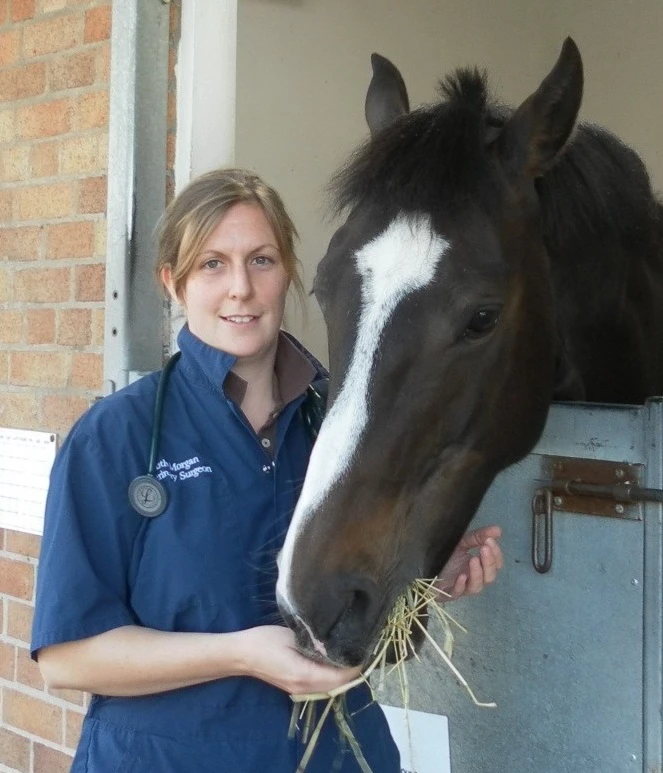 Comparative glucocorticoid metabolism; lessons from horses, humans and mice logo