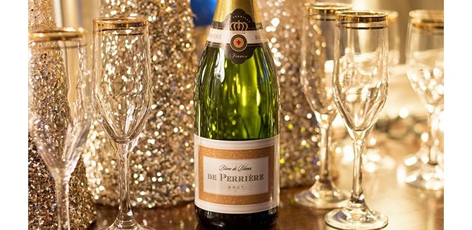 Early Career Researcher Networking Event and Travel Showcase  logo