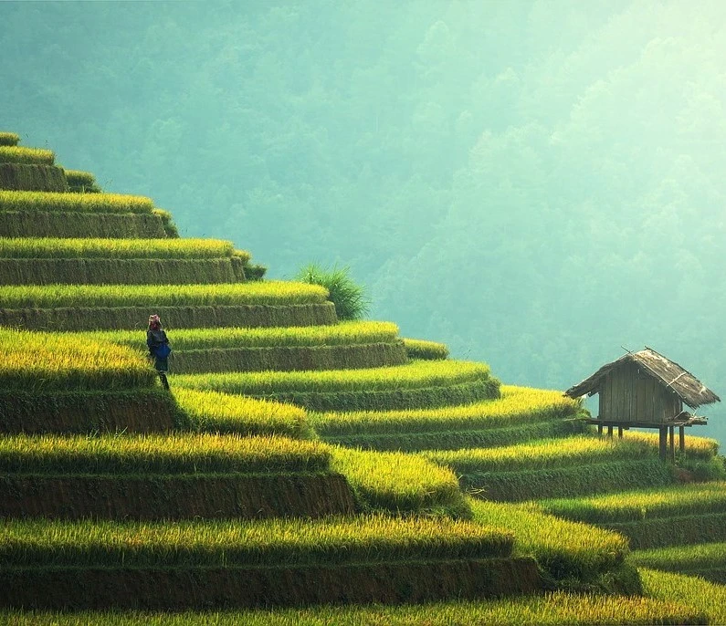 Christ's Climate seminar 2  logo