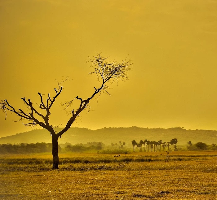 Christ's Climate seminar 3: Investigating how politicians understand and act on climate change logo