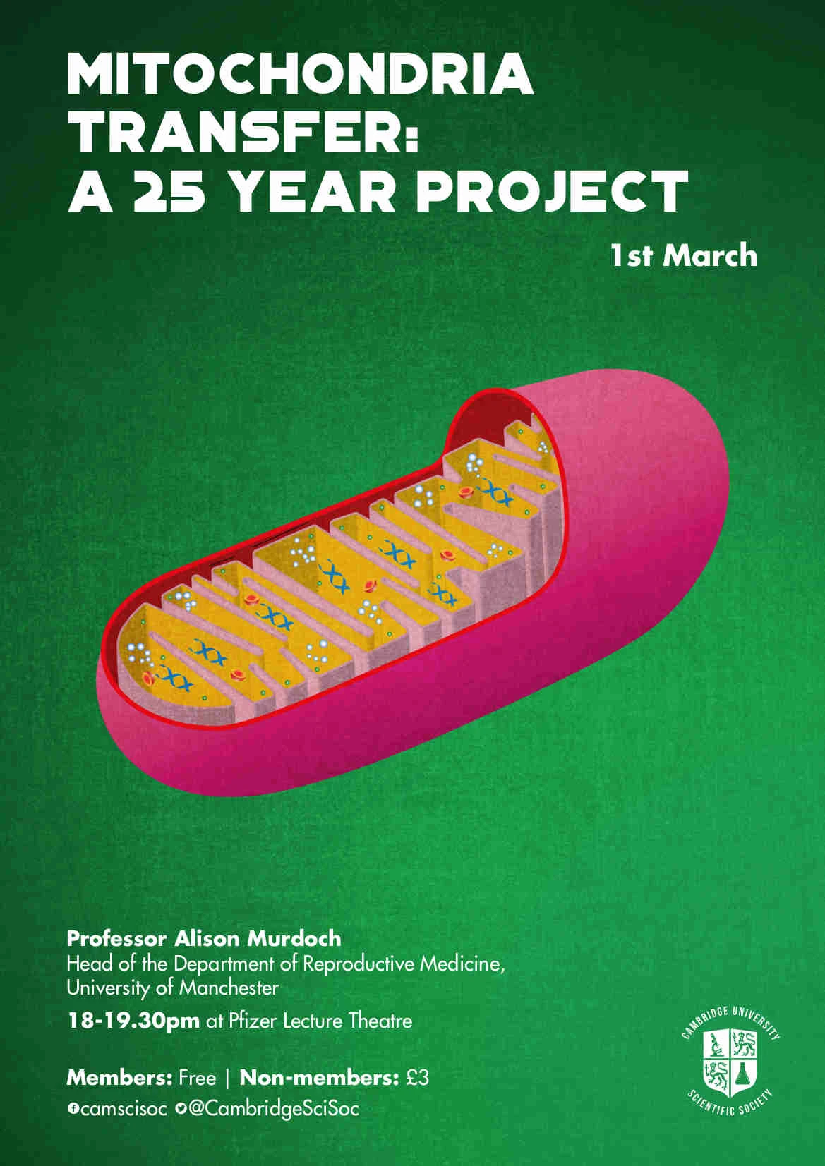 Mitochondria Tansfer: a 25 Year Project logo