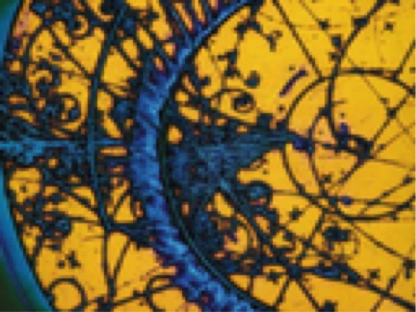 Neutrinos in Seven Questions logo