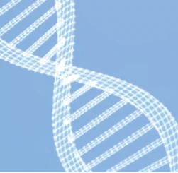 The 2019 Cambridge Autism Genetics Symposium logo