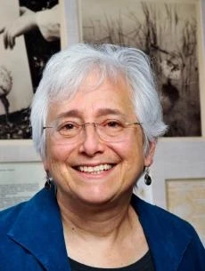 Hybridity, Breed, and Wildness logo