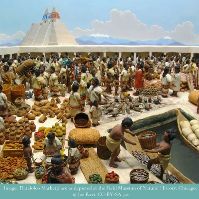 The Science and Politics of Food in Human History: Open Knowledge Summer School in the Arts, Sciences, and Humanities 2019 logo