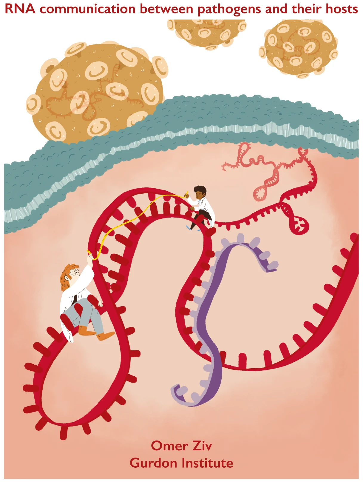RNA communication between pathogens and their hosts. logo