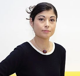 How chromatin is spatially reorganised during zygotic reprogramming to totipotency logo