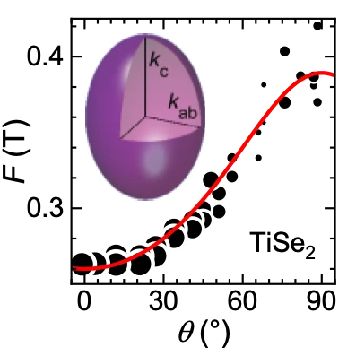 Charge-Density-Wave: Fermi-surface Reconstruction and Competing Orders logo