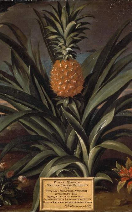 Power, Promise, Politics: The Pineapple from Columbus to Del Monte (20-21 February) logo