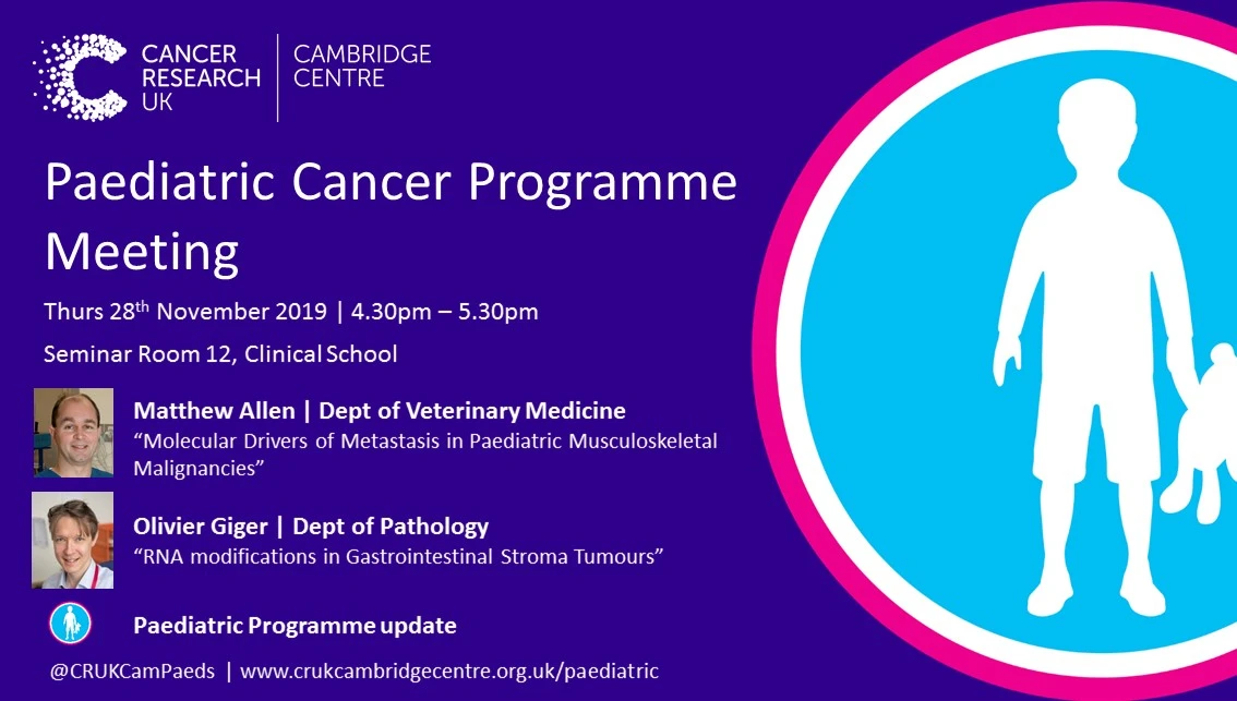 Paediatric Cancer Programme Meeting Nov 2019 logo