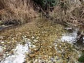 Chalk streams of Cambridgeshire logo