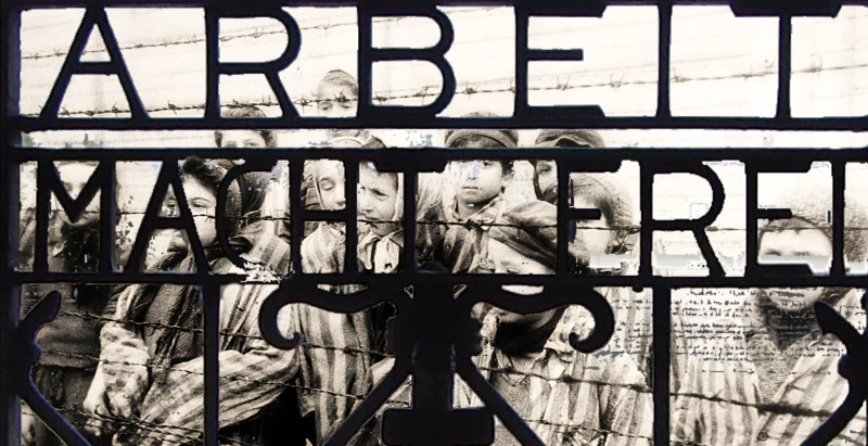 Moral Neutralisation of Violence and the Perpetration of Inhumanities logo