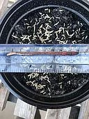 Alternative plastics, grass and worms logo