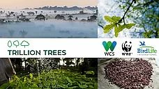 CANCELLED - A trillion trees – A trillion reasons to thrive! logo