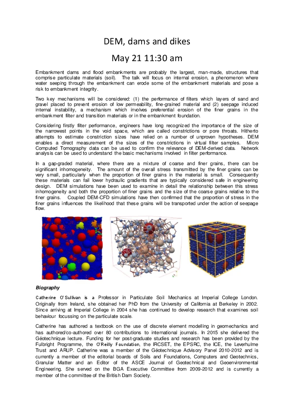 DEM, dams and dikes logo