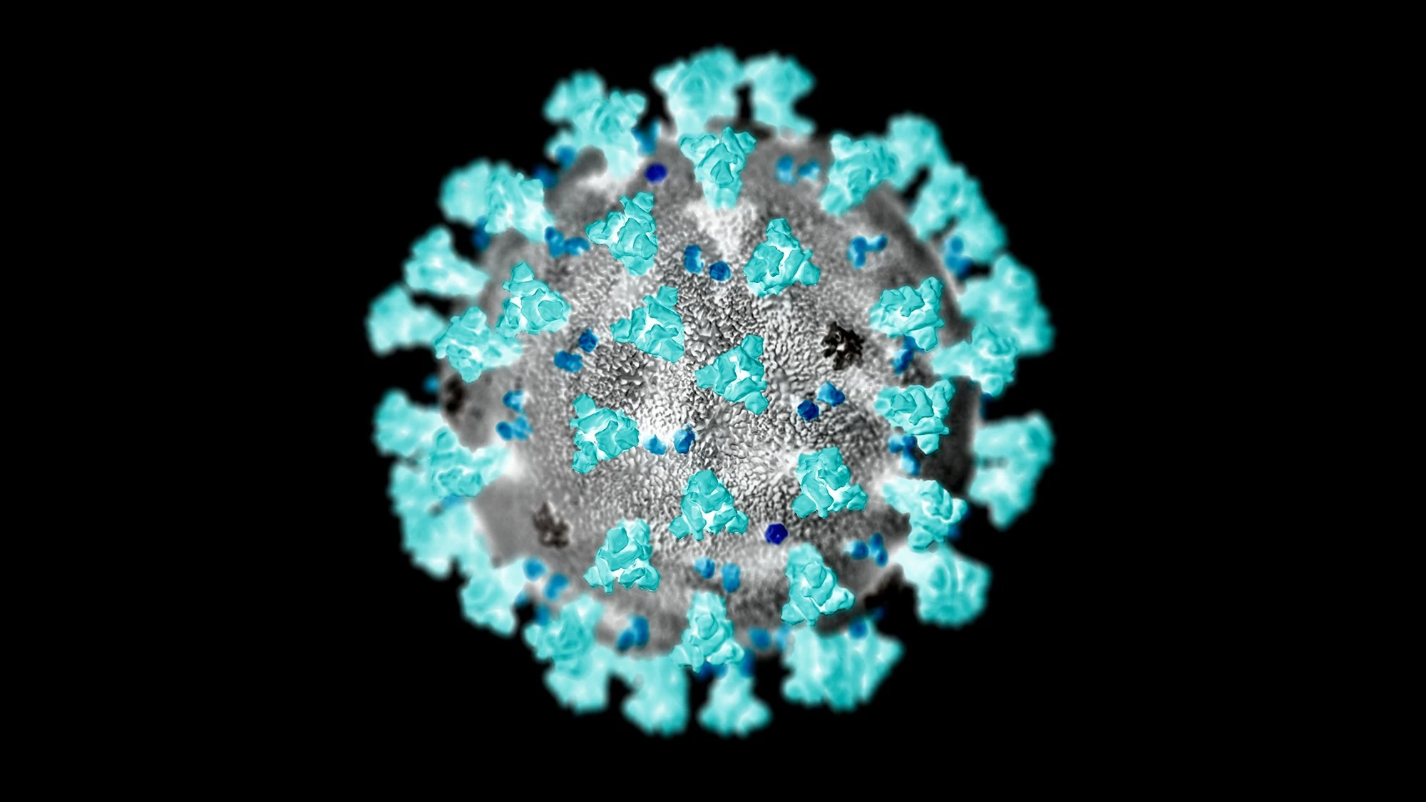 What policy makers need to know about COVID-19 protective immunity. logo