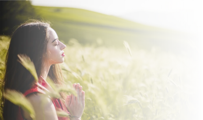 Wellbeing and Meditation Fair  logo