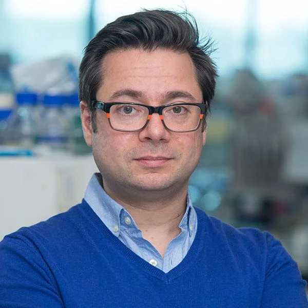 The Senescence-Associated Innate Immune Sensors in Tumour Suppression logo