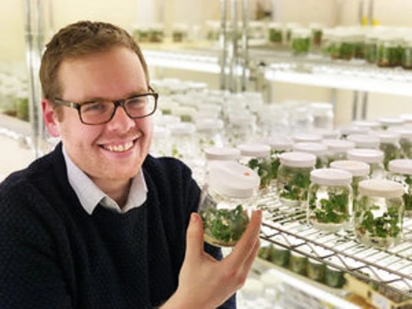 Designing plants for robots logo