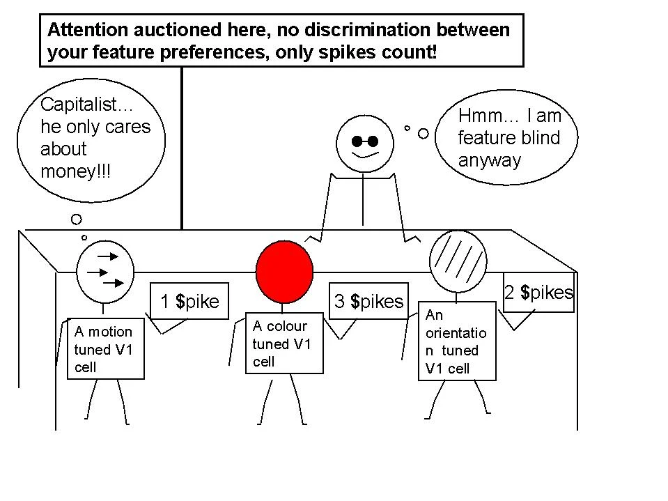 Experimental tests of the theory that V1 creates a bottom-up visual saliency map for attentional guidance logo