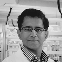 Cell Polarity and Organoids: New Pathways and Models for Translational Research and Cancer Immunology logo