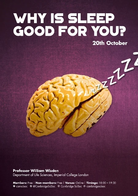Why is sleep good for you?  logo