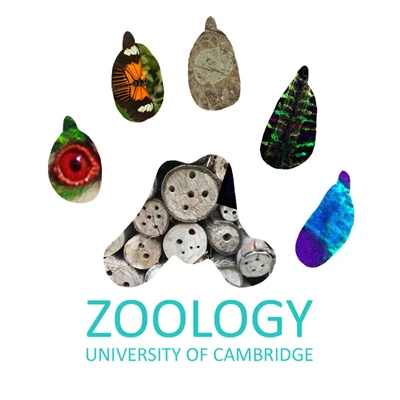 Behaviour, Ecology &amp; Evolution Seminar Series logo