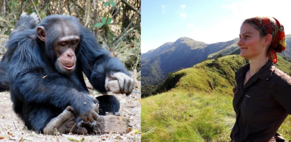 Of Apes and Tools: Insights into the Evolution of Technology logo