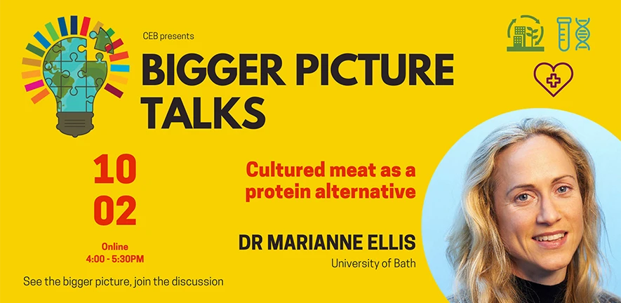 Bigger Picture Talks at CEB: Marianne Ellis 'Cultured meat as a protein alternative' logo