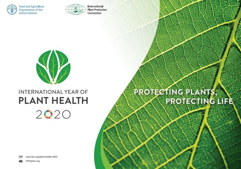 Celebrating the FAO International Year of Plant Health: A forward looking perspective on tackling the grand challenges in plant health to transform agriculture sustainably. logo