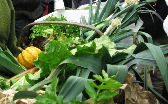 Preserving food naturally - A talk by Meg Clarke and Jacky Sutton-Adam  logo